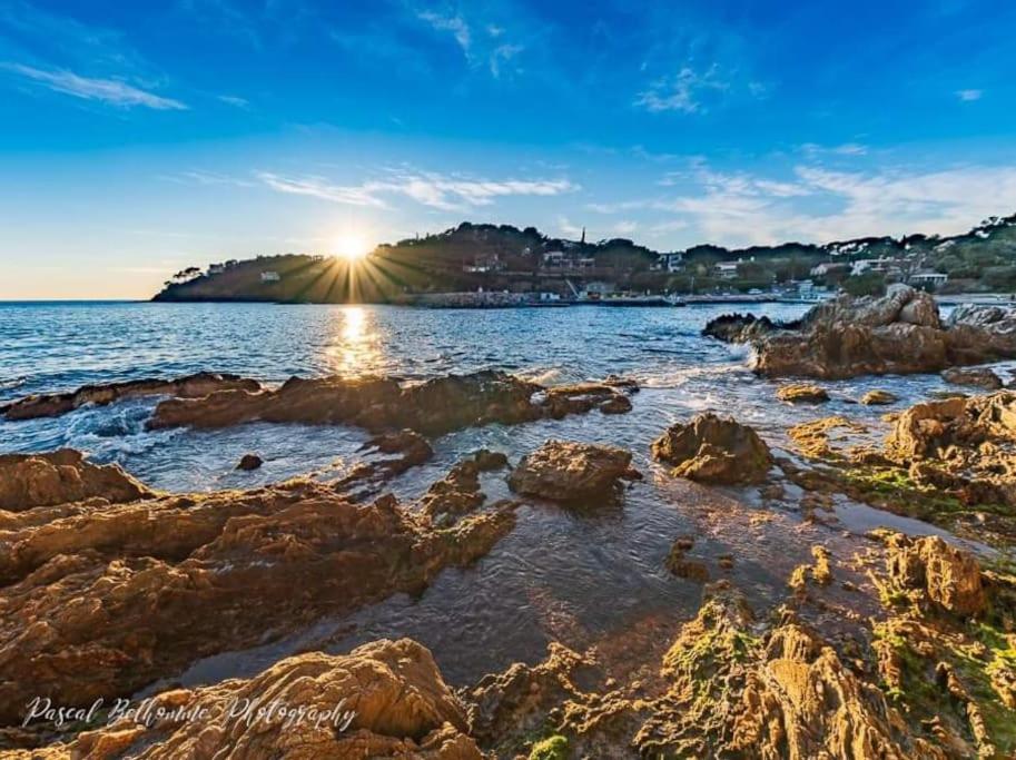T2: 45M2 :4 Places :Independant Dans Villa Hyeres Bagian luar foto
