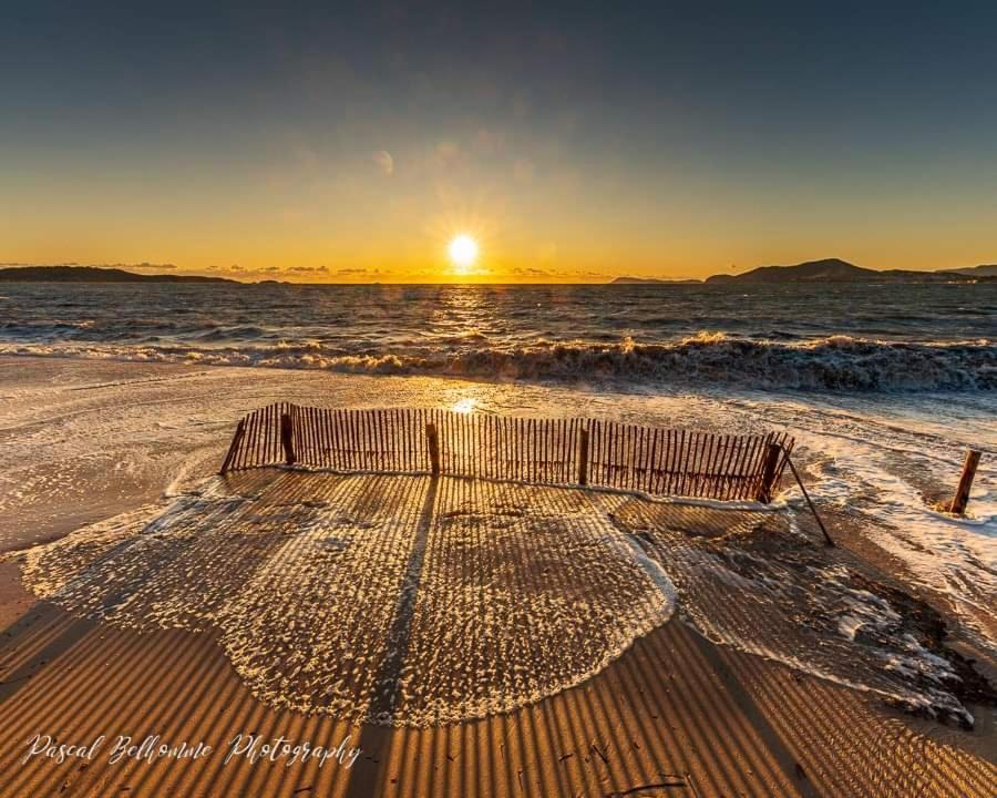 T2: 45M2 :4 Places :Independant Dans Villa Hyeres Bagian luar foto