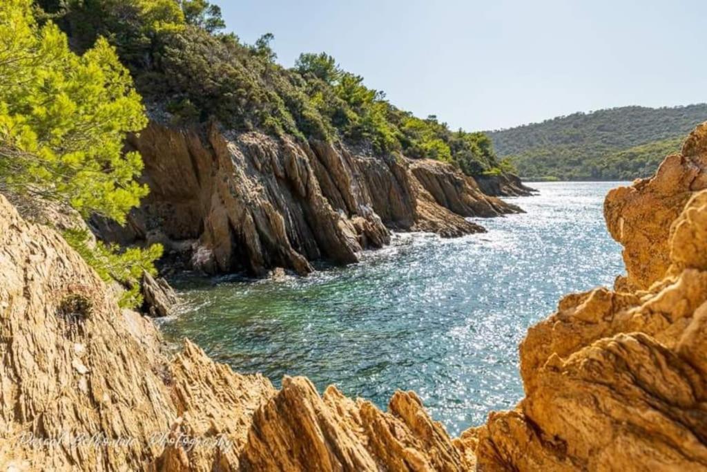 T2: 45M2 :4 Places :Independant Dans Villa Hyeres Bagian luar foto
