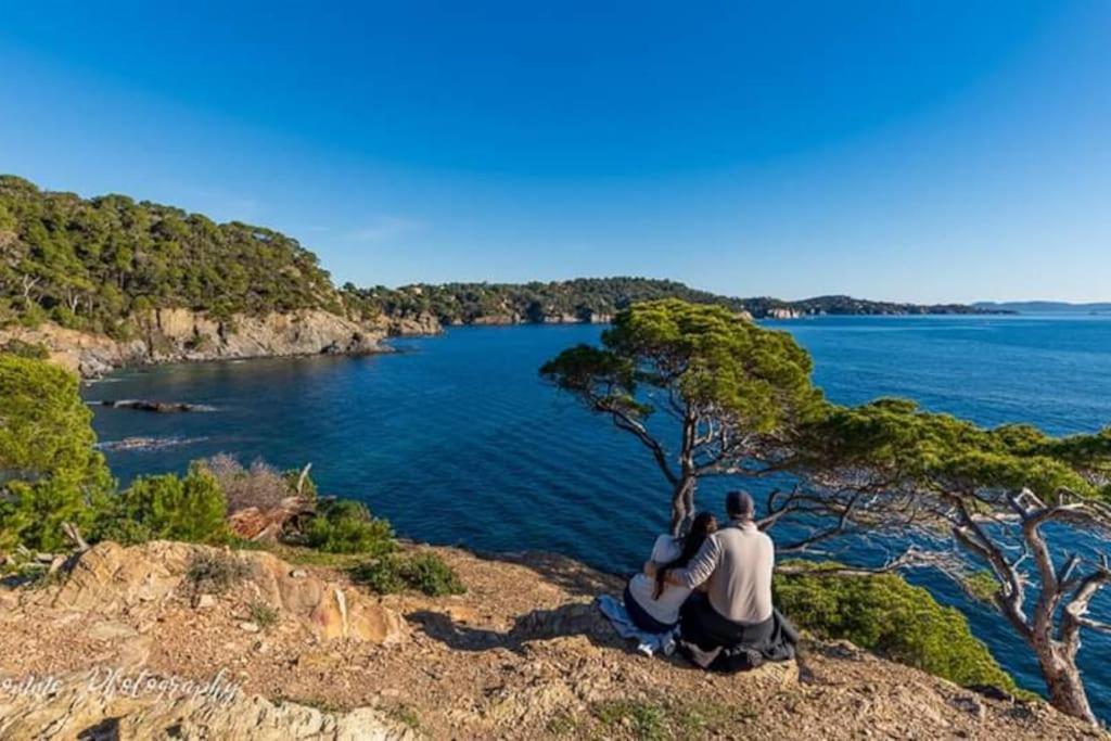 T2: 45M2 :4 Places :Independant Dans Villa Hyeres Bagian luar foto