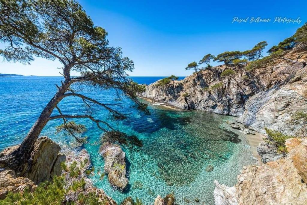 T2: 45M2 :4 Places :Independant Dans Villa Hyeres Bagian luar foto