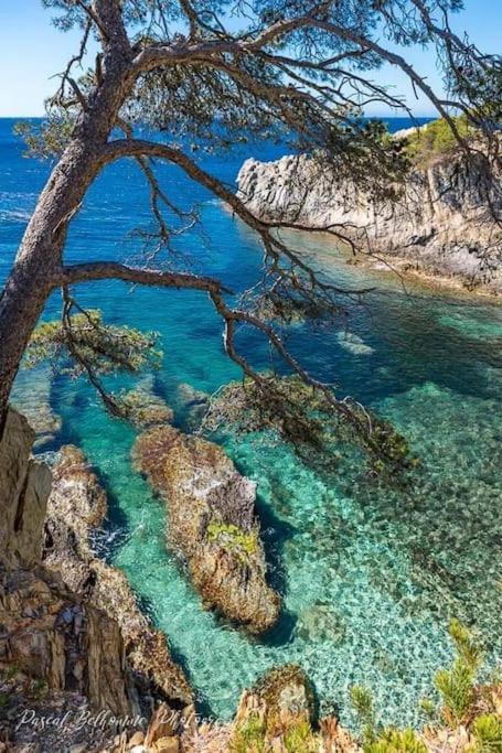 T2: 45M2 :4 Places :Independant Dans Villa Hyeres Bagian luar foto