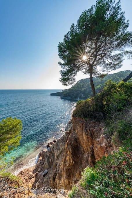 T2: 45M2 :4 Places :Independant Dans Villa Hyeres Bagian luar foto