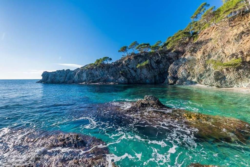 T2: 45M2 :4 Places :Independant Dans Villa Hyeres Bagian luar foto