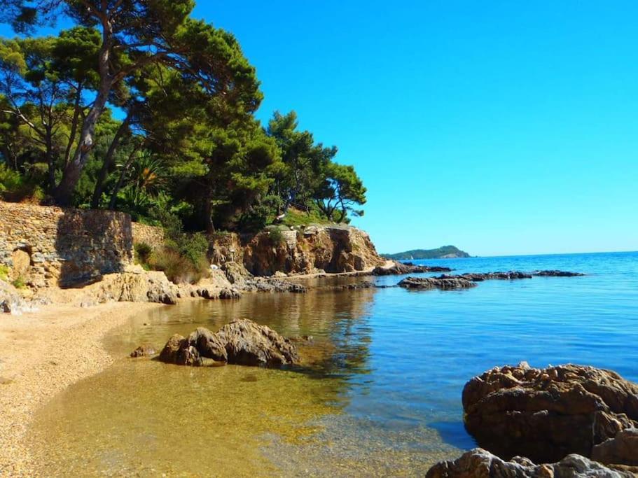 T2: 45M2 :4 Places :Independant Dans Villa Hyeres Bagian luar foto